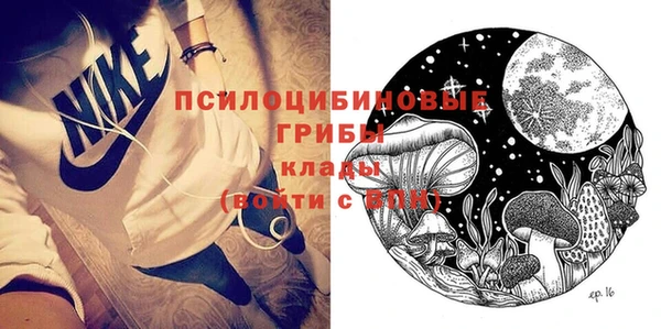 spice Няндома