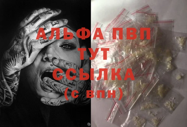 spice Няндома