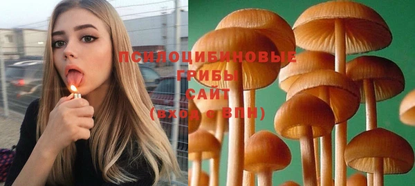 spice Няндома