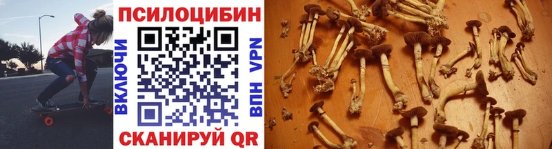 Купить где  Касимов  Галлюциногенные грибы Psilocybe 